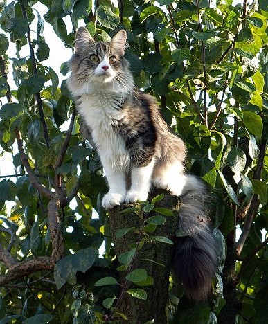 Rozmiar: 86650 bajt�w